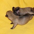 02_first day04.jpg